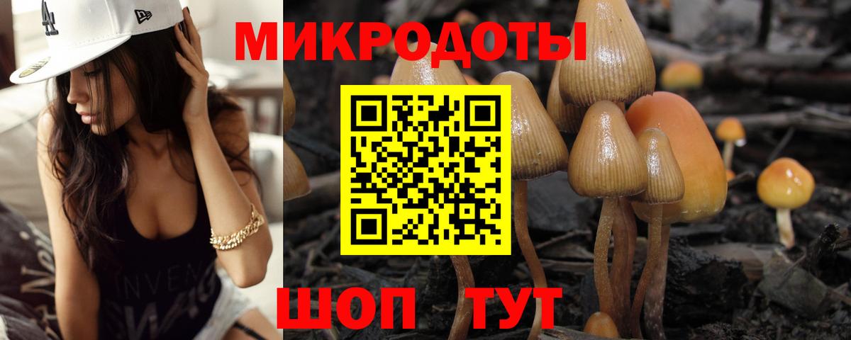 Заводоуковск  Галлюциногенные грибы Psilocybe  Вход с VPN 