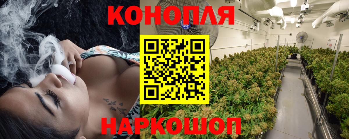 Шишки марихуана сатива Заводоуковск